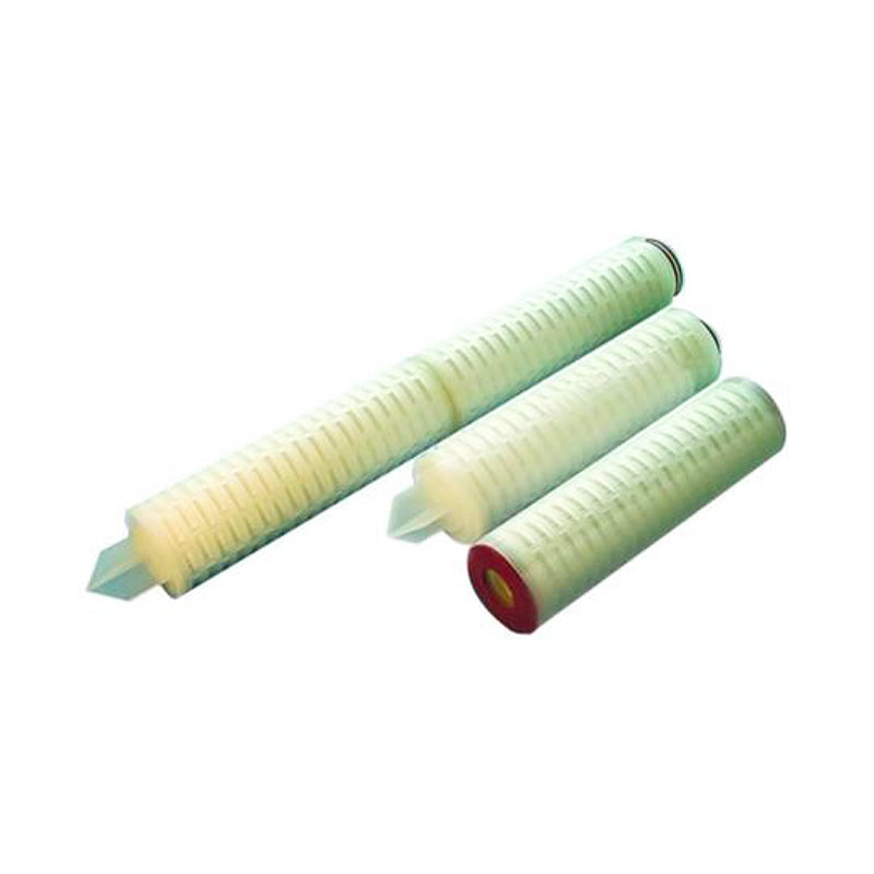 PPS, PPS 10" Pleated PP Filter Cartridge, Standard 2.5" diameter, 0.2 micron (absolute)